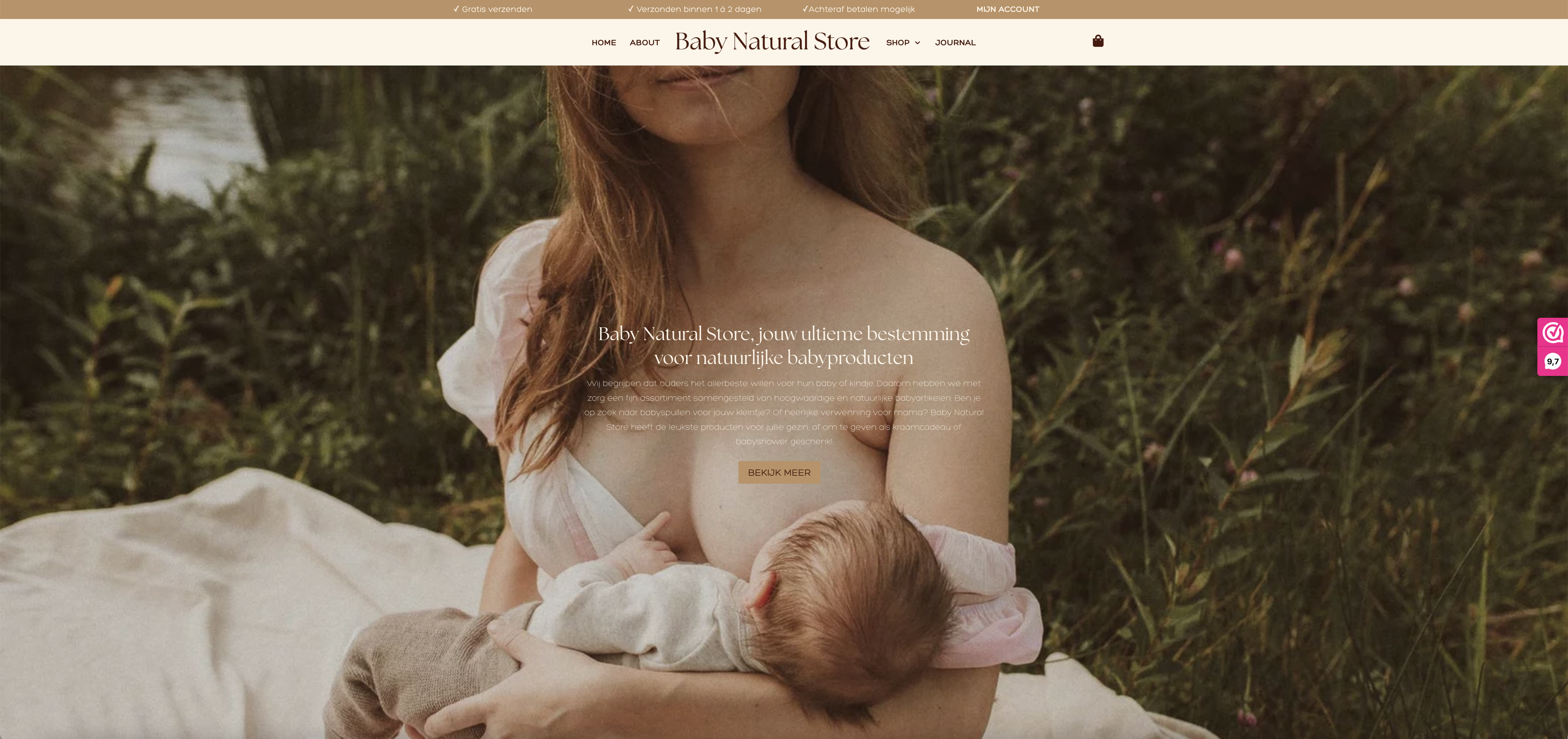 Website Baby Natural Store - Studio Deche